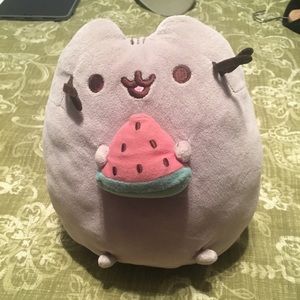 Pusheen Watermelon